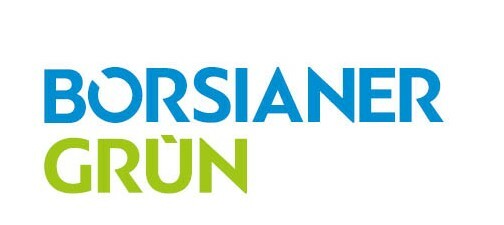 Logo Börsianer Grün